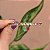 Bracelete cristais coloridos penduricalhos gotas ouro semijoia PU 920 - Imagem 3
