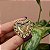 Broche magnético coração mini pérolas dourado envelhecido - Imagem 3