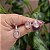Colar e brinco oval pedra natural quartzo rosa ródio semijoia - Imagem 1