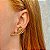 Brinco Claudia Arbex cristais ouro vintage - Imagem 3