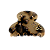 Piranha de cabelo acetato tartaruga com cristais - Imagem 5