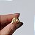 Broche Elaine Palma vespa zircônia ouro semijoia - Imagem 1