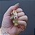 Pulseira gotas cristais fusion rosa ouro semijoia - Imagem 3