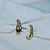 Brinco ear hook Claudia Arbex cristais ouro vintage - Imagem 3
