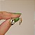 Brinco gota pedra natural abalone ouro semijoia - Imagem 4