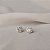 Brinco Elaine Palma redondo glam moissanite prata 925 6 mm - Imagem 6