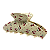 Piranha cerejinhas acetato crú - Imagem 3