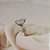 Anel Elaine Palma oval georgina moissanite prata 925 - Imagem 4