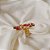 Anel ajustável Leticia Sarabia flor e borboleta mix vermelho dourado A8088 - Imagem 4