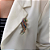 Broche papagaio cristais coloridos - Imagem 1