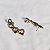 Brinco ear cuff Claudia Arbex biscoito da sorte cristais ouro vintage - Imagem 3