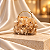 Bolsa Clutch com Pétalas Champanhe para Festa - Imagem 1