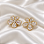 Brinco Pressão Flor Zircônia Ouro Semijoia - Imagem 1