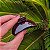 Piranha de cabelo francesa Finestra marrom F2818 - Imagem 1