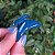 Piranha de cabelo pequena francesa Finestra azul N458gb - Imagem 1