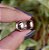 Brinco argolinha ródio semijoia 19a11015 - Imagem 2