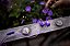 Fone Ouvido Philips Com Microfone SHE2405PP Roxo - Imagem 3