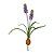 Hyacinth ou Jacinto Roxo com Bulbo Permanente - Imagem 1