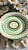 Prato Boleira Vintage Candy - Imagem 1