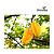 Carambola - Imagem 1