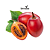 Tamarillo ou Tomate Árvore - Imagem 1