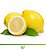 Limão Siciliano - Lindas Mudas Enxertadas - Imagem 1