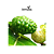 Noni - Imagem 4