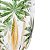 Taça em Cristal Palm Tree Handpaint 450ml - Imagem 3