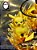 Figure Pokemon - Pikachu Evolution - EGG Studio (ENCOMENDA) - Imagem 3