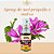 Spray de Própolis com Malva 30ml - Ziin Ziin - Imagem 2