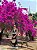 Colete Cropped Bordado - Imagem 16