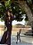 Vestido Longo Atena - Imagem 1