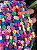 Fio De Fimo Smiles Colorido - 01 Fio - 40Cm - Imagem 1