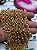 Corrente Guarana Portuguesa Grossa Arame 2,0mm - Banho Ouro 2 Milésimos camada - 1 metro - Imagem 6