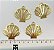 Pingente Concha Ouro - 01 Unid - Imagem 2
