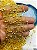 Corrente Cadeado Com Bolinha 3,5mm - Banho Ouro Camada 2 Milésimos Latão Soldada Com Verniz Protetivo - 1 metro - Imagem 5