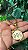 Colar Medalha Personalizado Filhos Ouro - 01 unid - Imagem 2