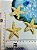 Pingente Estrela Ouro - 01 und - Imagem 1