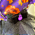 Vestido Halloween Roxo - Imagem 2