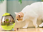 Petisqueira Oval Interativa para Gatos ou Cão - Imagem 2