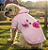 Casaco Pig com Capuz 3D para Cães - Imagem 1