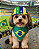 Boné Estrelas do Brasil para Cães - Imagem 1