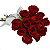Buquê 12 rosas vermelhas - Imagem 1