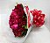 Grandioso buquê 50 rosas - Imagem 2