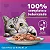 Whiskas Sachê Jelly Peixe 85g - Imagem 4