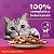 Whiskas Sachê Carne 85g - Imagem 4