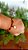 Pulseira Guia - Oxum - Imagem 5