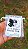 Kit Pedras Escudo Protetor - Imagem 1
