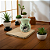 Aromatizador de Ambiente - Baguá Yin & Yang - Verde - Imagem 2