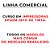 Curso Completo: Tudo sobre Impressoras Epson - Imagem 2